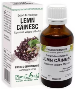 EXTRACT DIN MLADITE DE LEMN CAINESC * 50 ML