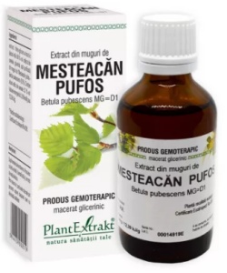 EXTRACT DIN MUGURI DE MESTEACAN PUFOS * 50 ML