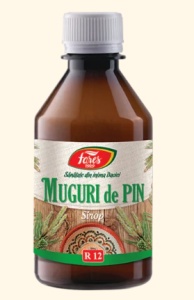 SIROP MUGURI DE PIN * 250 ML FARES *
