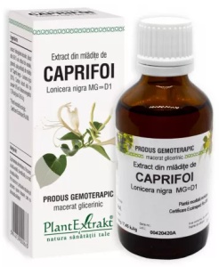 EXTRACT DIN MLADITE DE CAPRIFOI * 50 ML