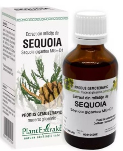 EXTRACT DIN MLADITE DE SEQUOIA * 50 ML