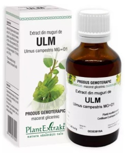 EXTRACT DIN MUGURI DE ULM * 50 ML