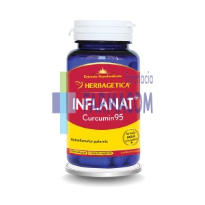 INFLANAT+CURCUMIN 95 * 60 CAPSULE HERBAGETICA