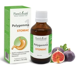 POLYGEMMA NR. 1 (STOMAC) * 50 ML