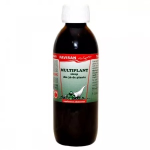 SIROP MULTIPLANT * 250 ML FAVISAN