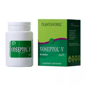 VOSEPTOL V * 40 COMPRIMATE