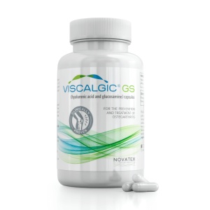 VISCALGIC GS * 120 CAPSULE