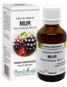 EXTRACT DIN MLADITE DE MUR * 50 ML