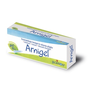 ARNIGEL 70MG/G GEL TUB PE * 45 G