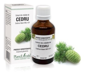 EXTRACT DIN MLADITE DE CEDRU * 50 ML, PLANTEXTRAKT