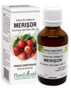 EXTRACT DIN MLADITE DE MERISOR * 50 ML