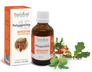 POLYGEMMA NR. 15 (INTESTIN- DETOXIFIERE) *50ML