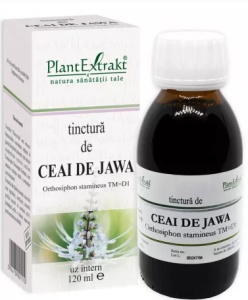 TINCTURA DE CEAI DE JAWA-ORTHOSIPHON STAMINEUS * 120 ML