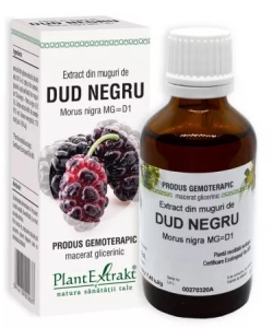 EXTRACT DIN MUGURI DE DUD NEGRU * 50 ML