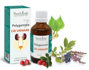 POLYGEMMA NR. 7 (CAI URINARE) * 50 ML