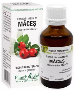 EXTRACT DIN MLADITE DE MACES * 50 ML