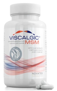 VISCALGIC MSM * 120 CAPSULE