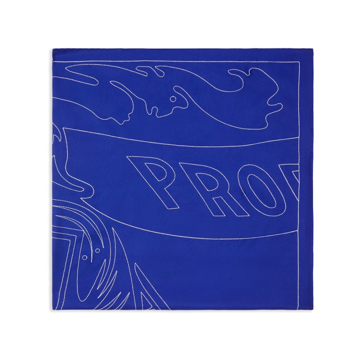 EKD silk scarf