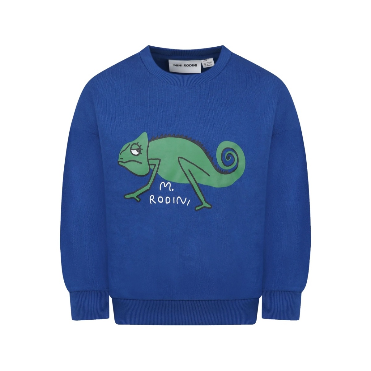 Lizard sweatshirt