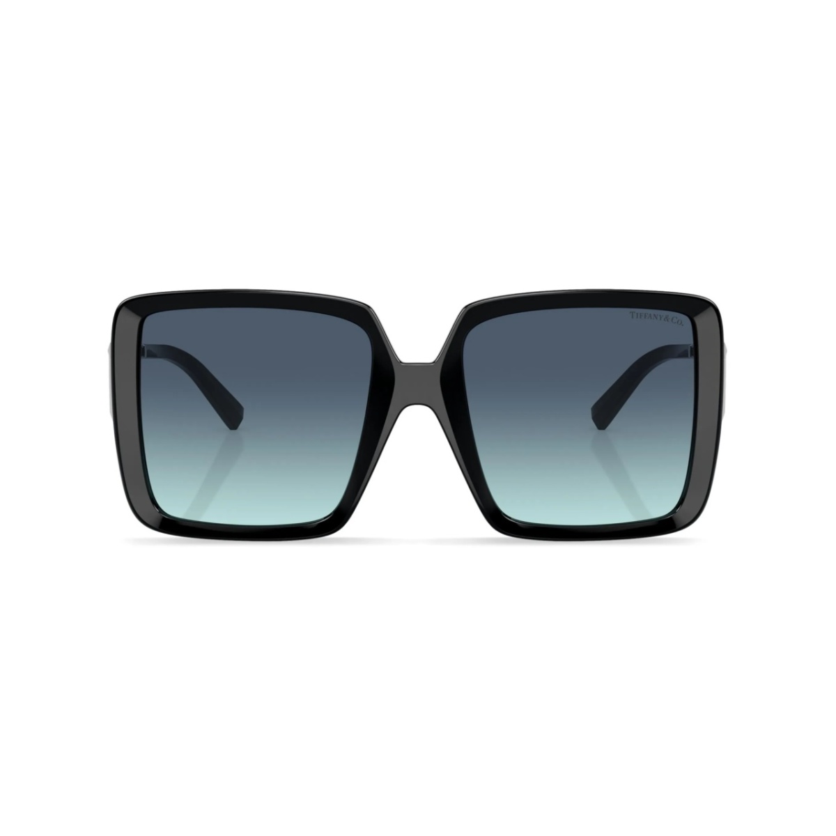 oversize-frame tinted-lenses sunglasses