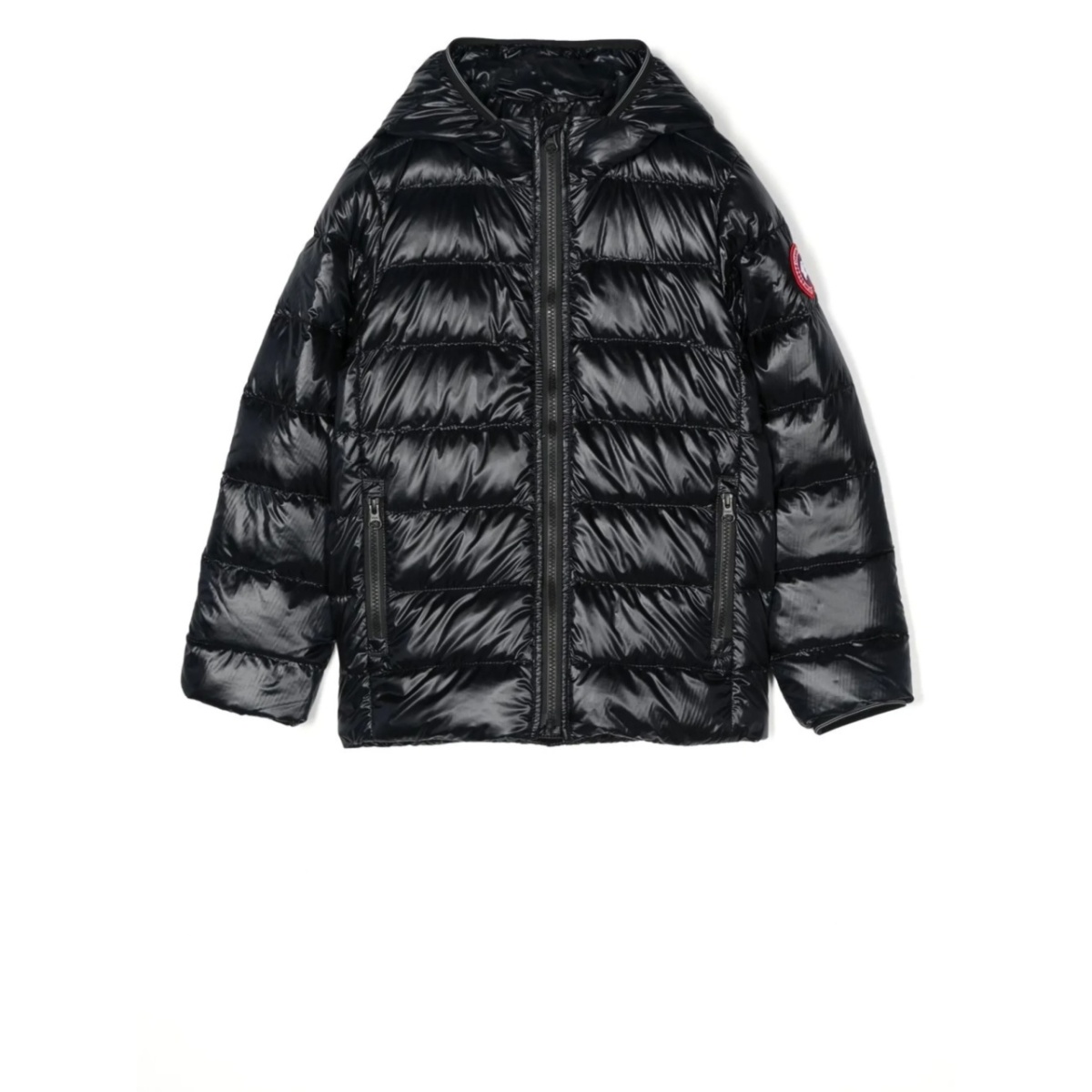 Crofton padded jacket