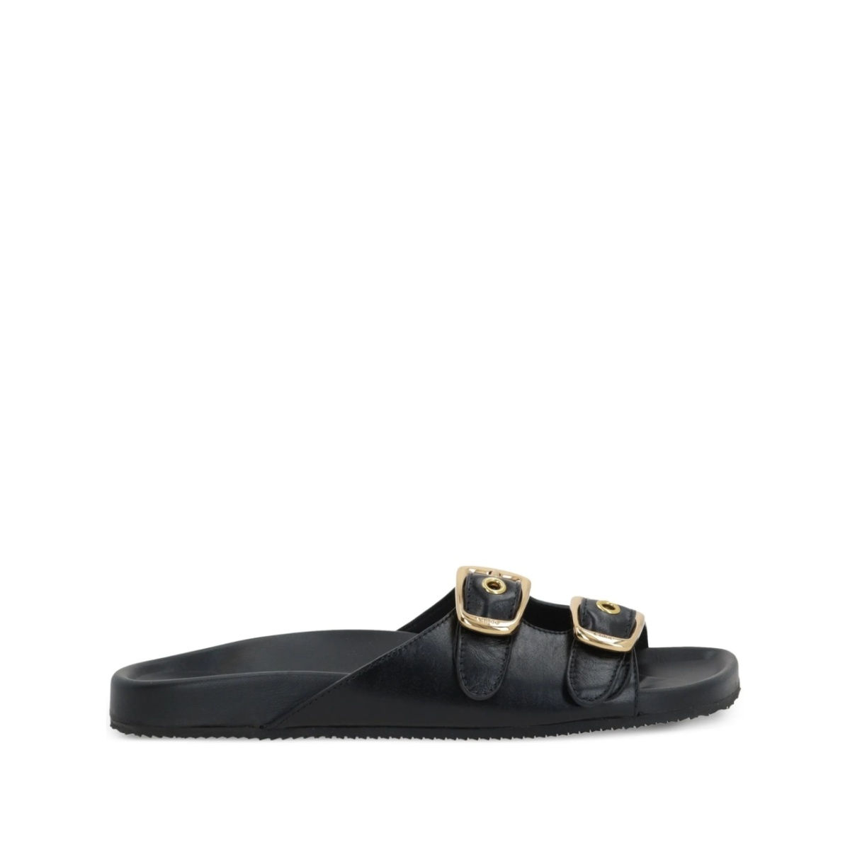 Polly slides