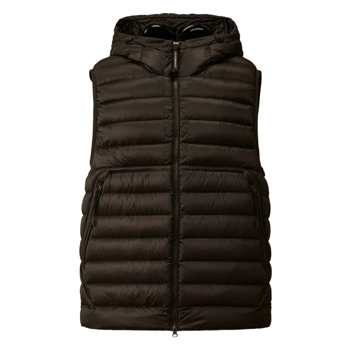 D.D. Shell goggle down gilet