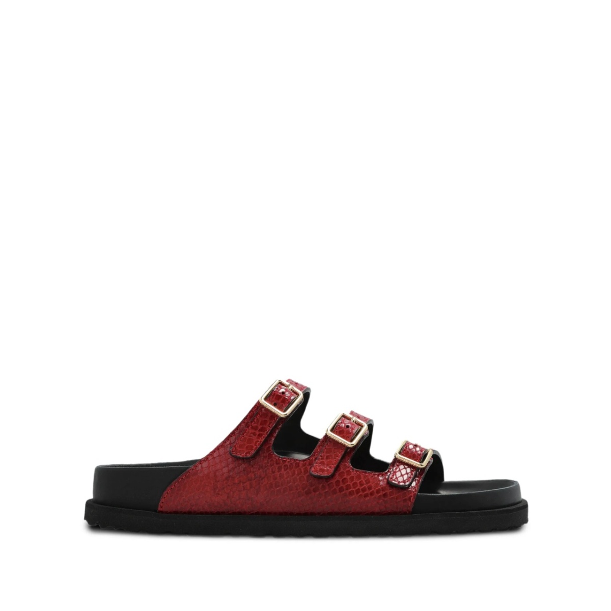 Florida slides