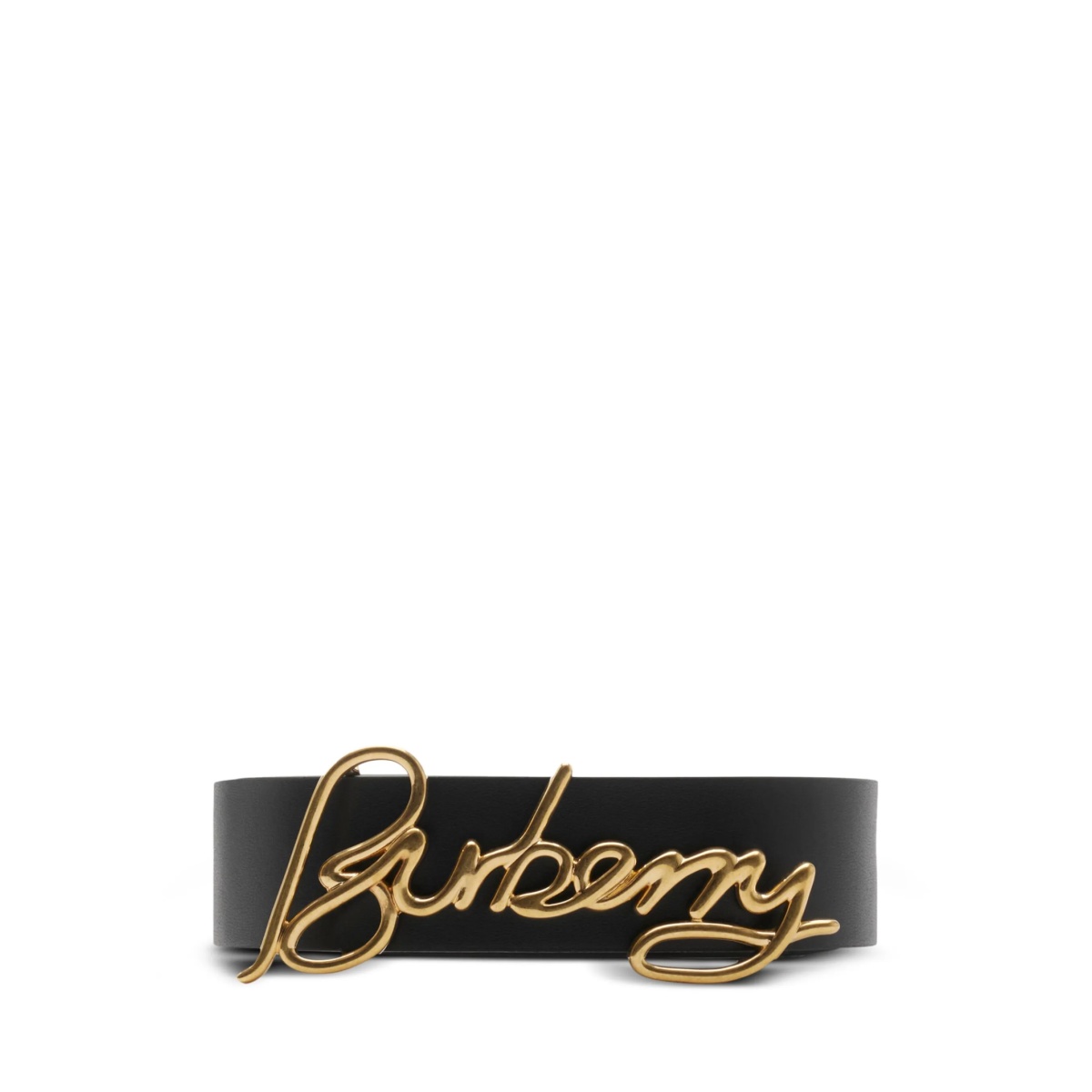 Signature reversible belt