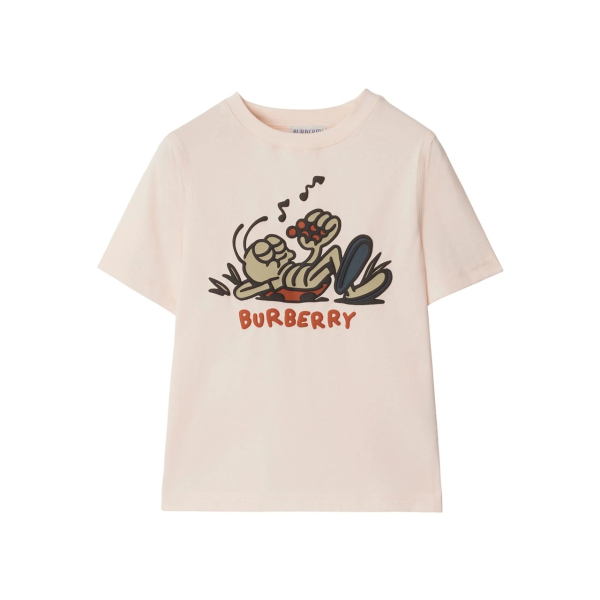 Ladybug T-shirt