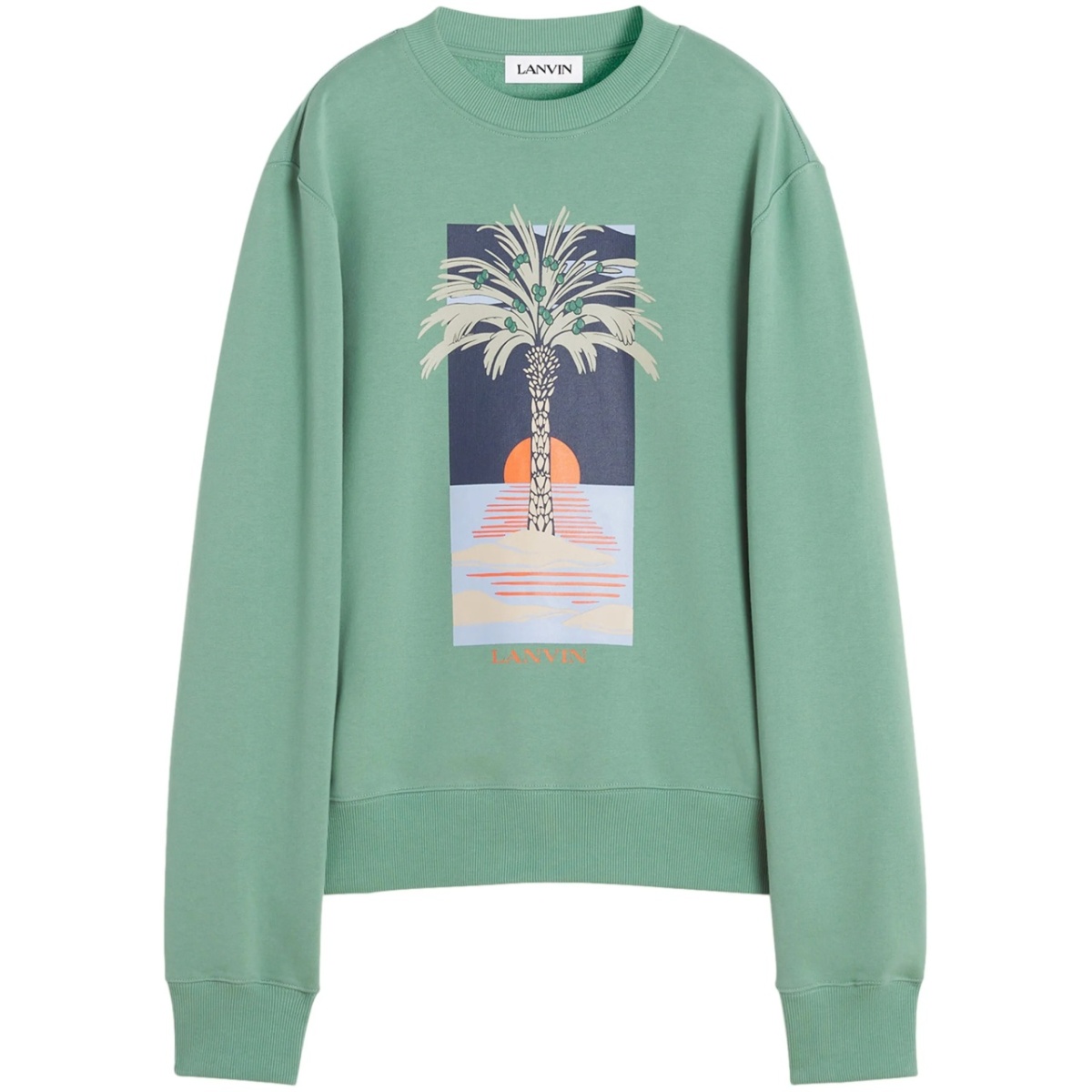 printed sweatshirt