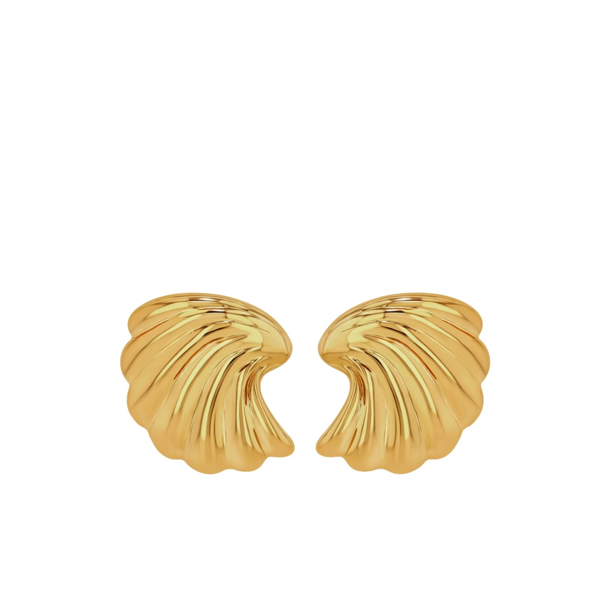Curved Shell earrings