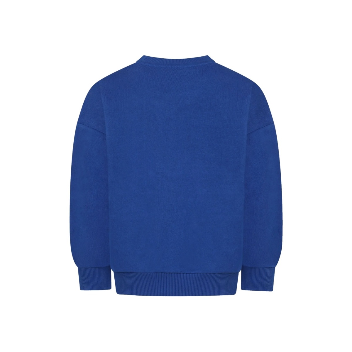 Lizard sweatshirt - Img 2