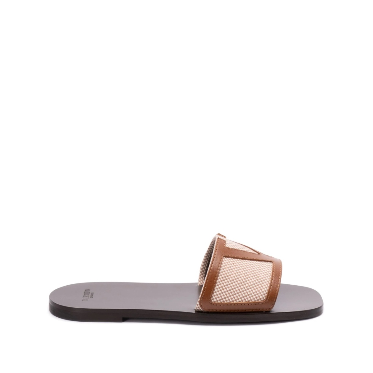 Vlogo slides