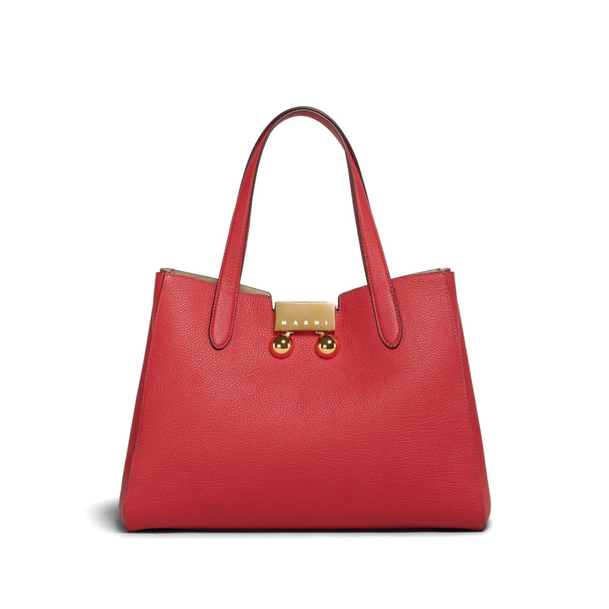 Trunkaroo tote bag