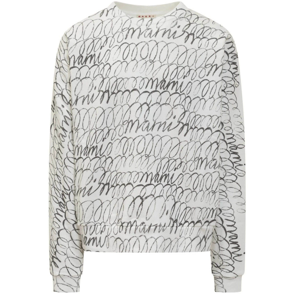 printed sweatshirt