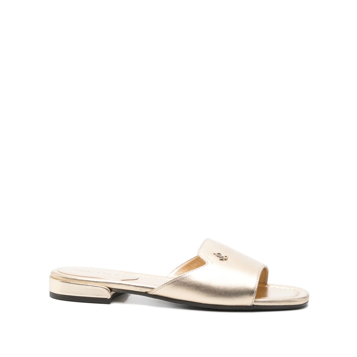 Dina slides