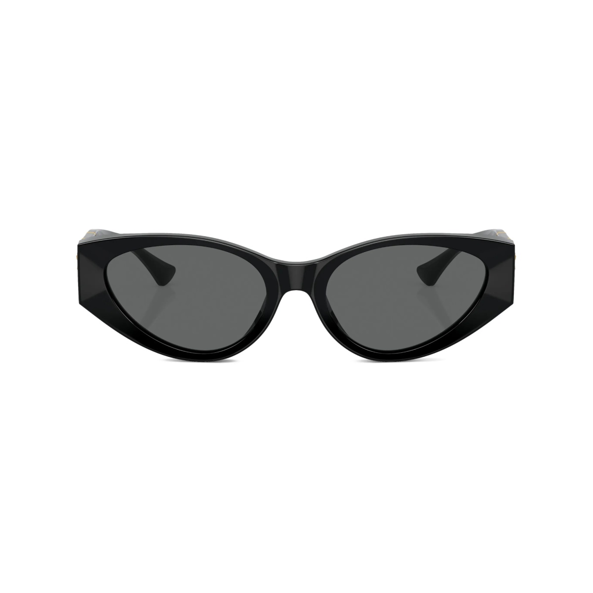 Medusa oval-frame sunglasses