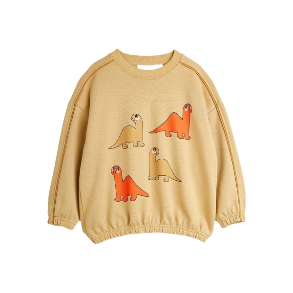 Dino sweatshirt