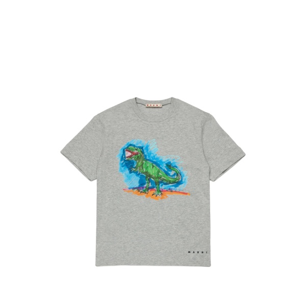 dinosaur-print T-shirt