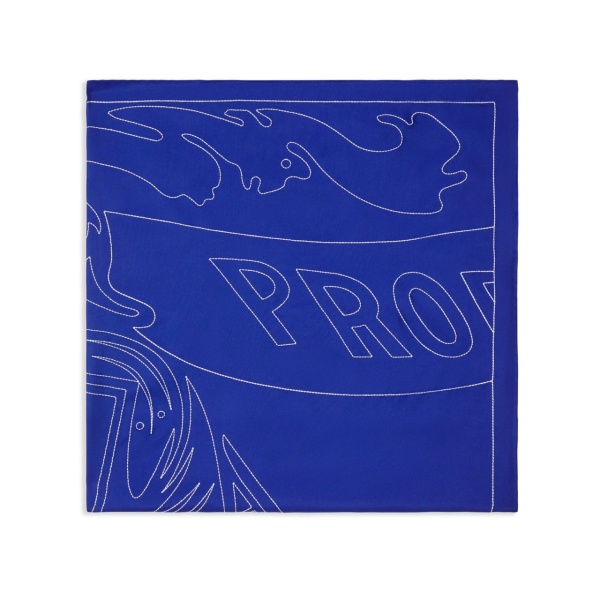 EKD silk scarf
