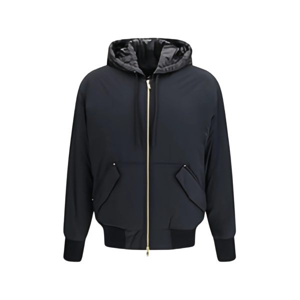 Brixton hooded down jacket