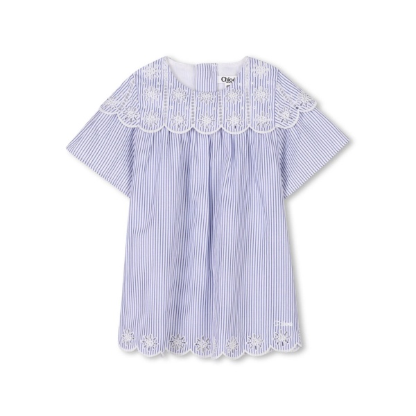 striped floral embroidered dress