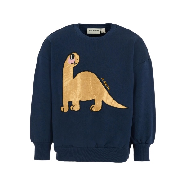 dinosaur-embellished sweatshirt