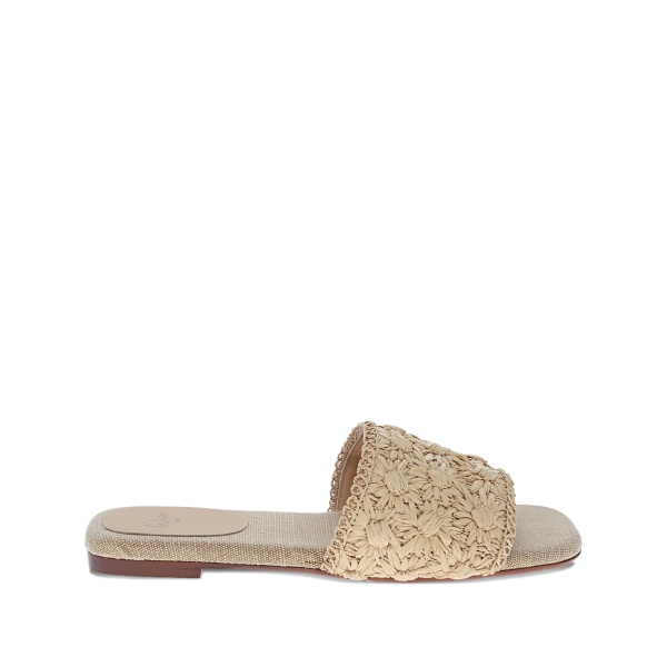 Pisa slides