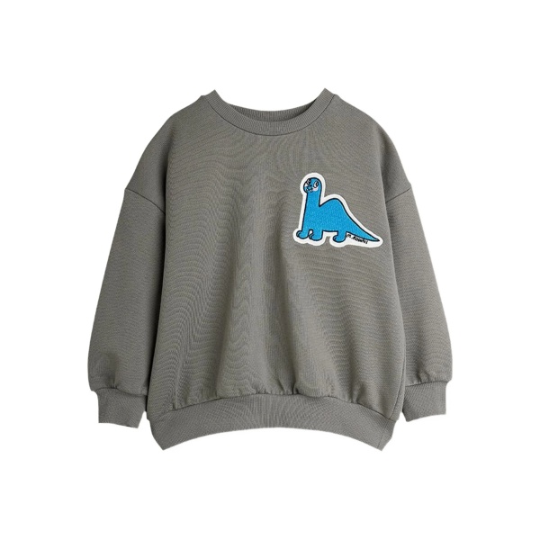dinosaur-patch sweatshirt