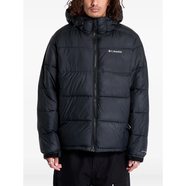 Pike Lake II hooded jacket