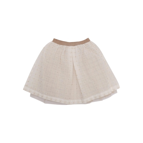 embroidered skirt
