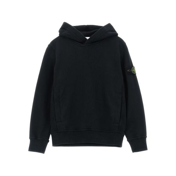logo-badge hoodie