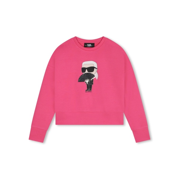 Ikon sweatshirt
